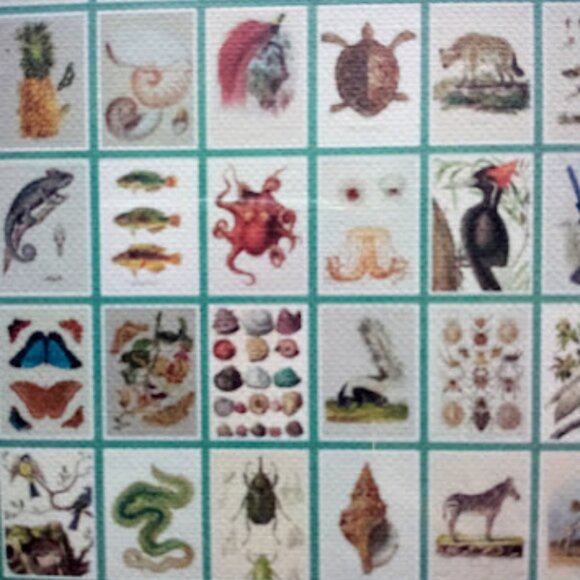 Postcards of 60 Rare Book Illustrations - Picture 4 of 5